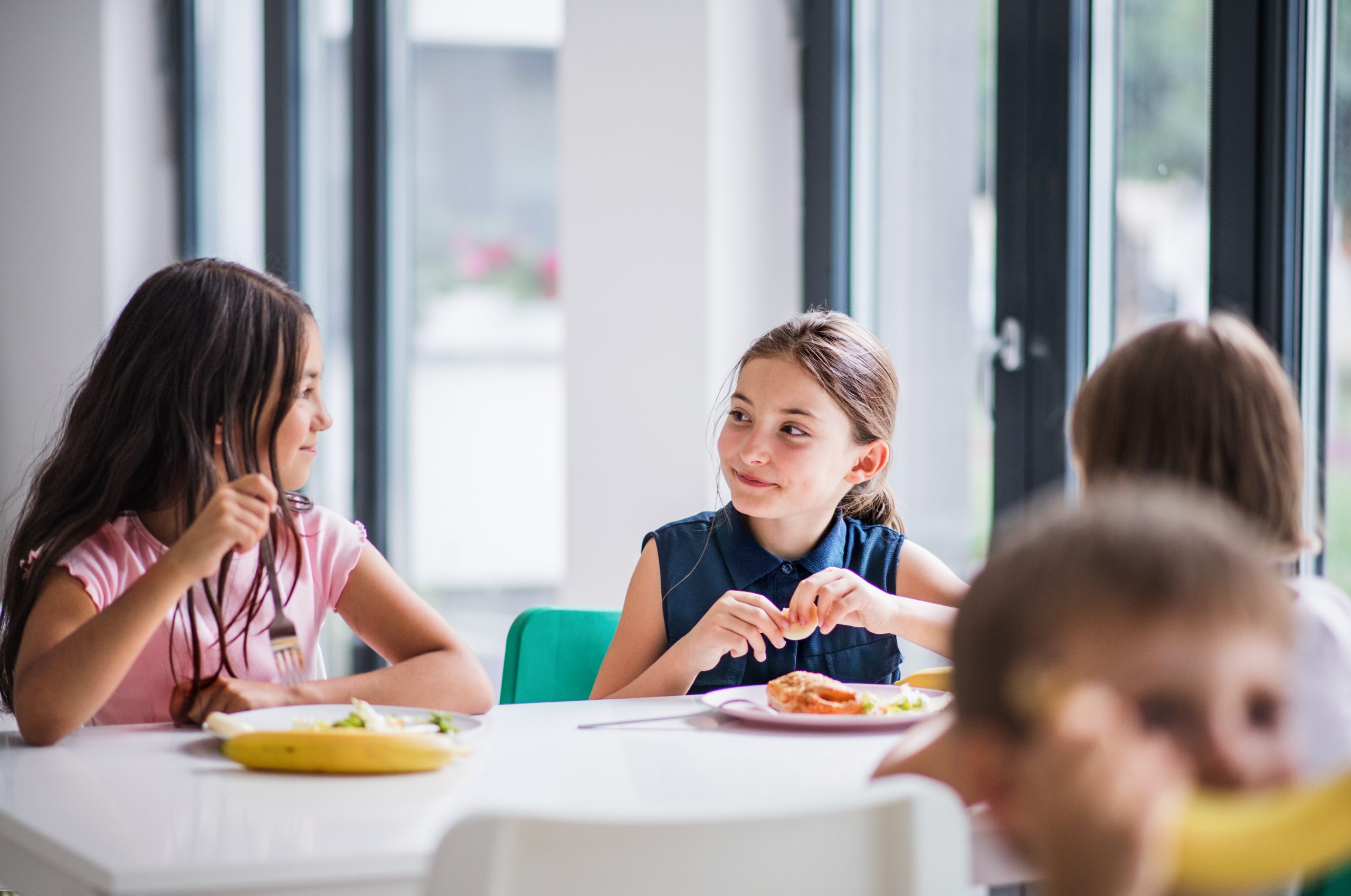 A group of cheerful small school kids in canteen, eating lunch and talking.